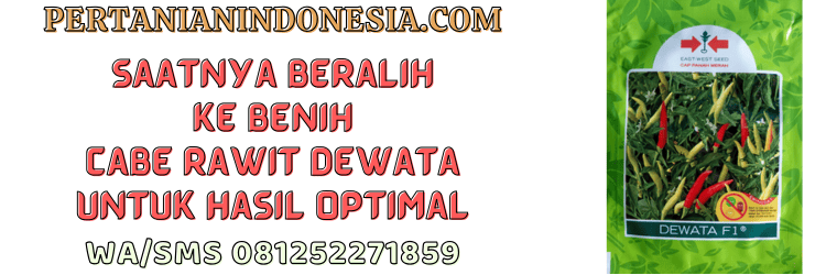 jual,murah,terjangkau,toko pertanian terjangkau,pertanian indonesia